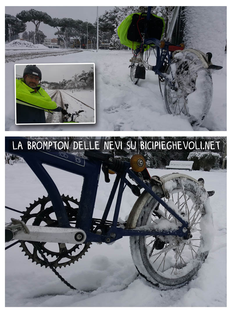 brompton e neve