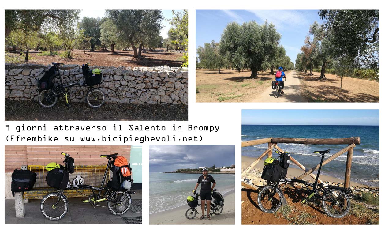 salento brompton