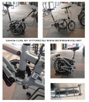 dahon curl